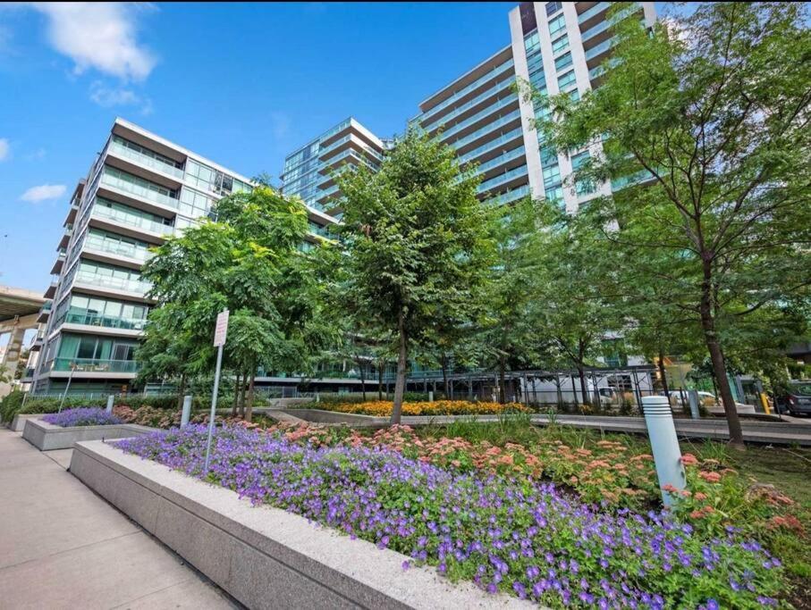 Cn Tower View With Free Parking, Pool, & More Amenities トロント エクステリア 写真